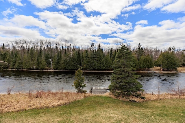 view of water feature featuring a view of trees