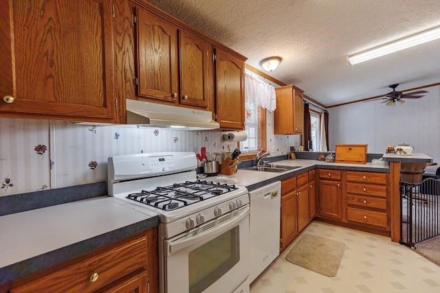 kitchen with brown cabinets, under cabinet range hood, a sink, white appliances, and a peninsula