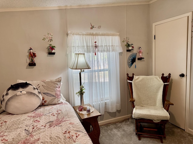 10525 Alpenhof Dr, Grayling, MI 49738 - bedroom with carpet flooring and a textured ceiling