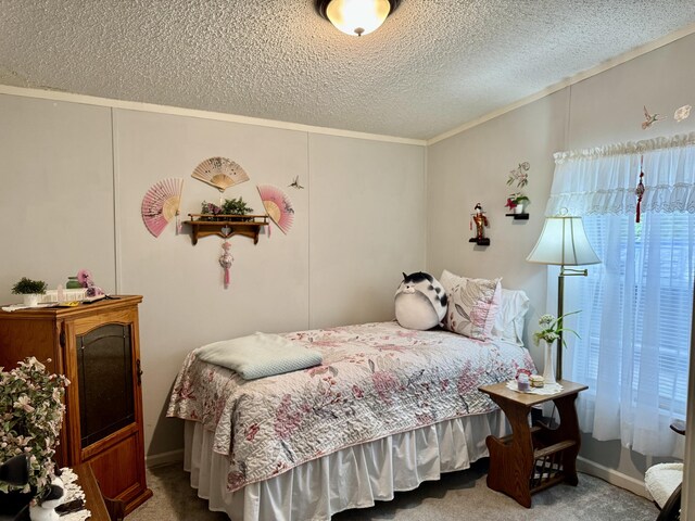 10525 Alpenhof Dr, Grayling, MI 49738 - bedroom featuring carpet floors, a textured ceiling, and ornamental molding