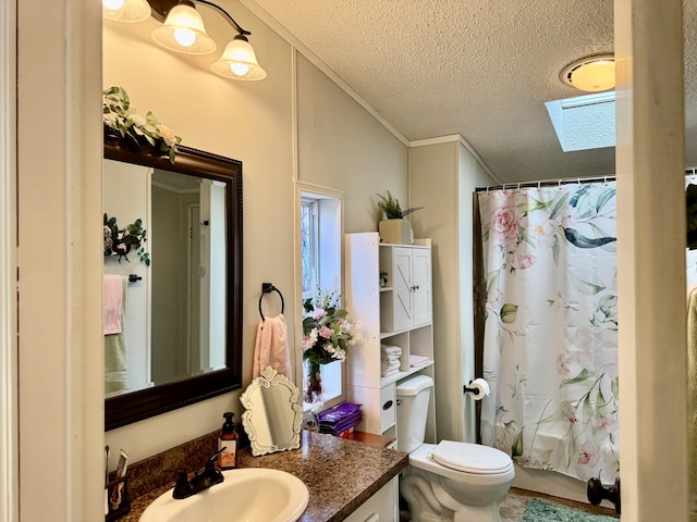 10525 Alpenhof Dr, Grayling, MI 49738 - bathroom featuring a skylight, vanity, toilet, a textured ceiling, and crown molding