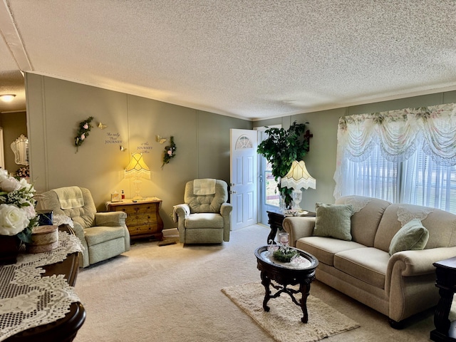 10525 Alpenhof Dr, Grayling, MI 49738 - living area with light carpet and a textured ceiling