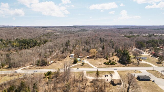 0 Benzie Hwy, Benzonia, MI 49616 - photo 4