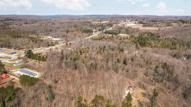 0 Benzie Hwy, Benzonia, MI 49616 - photo 7