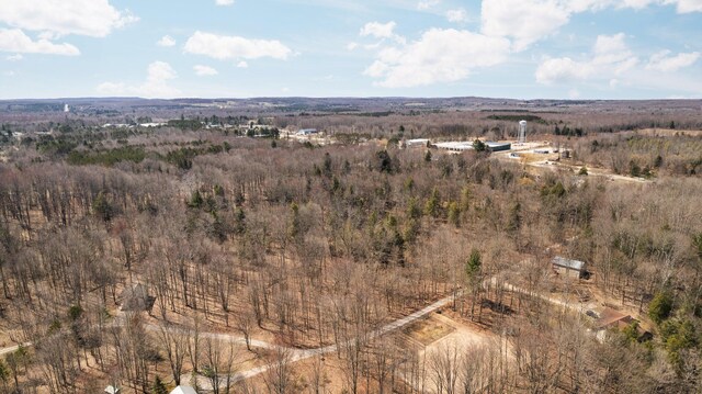 0 Benzie Hwy, Benzonia, MI 49616 - photo 8