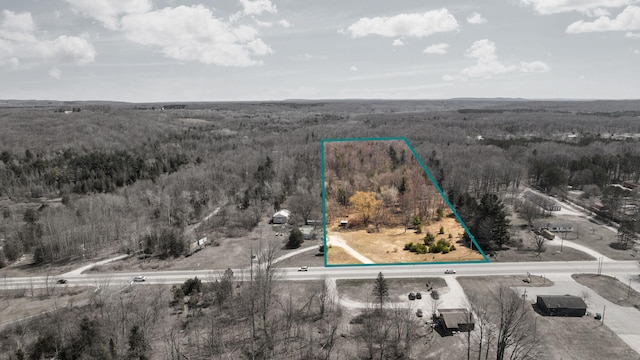 0 Benzie Hwy, Benzonia, MI 49616 - photo 1