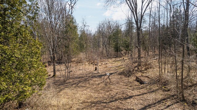 0 Benzie Hwy, Benzonia, MI 49616 - photo 9