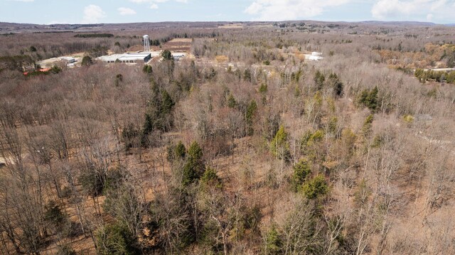 0 Benzie Hwy, Benzonia, MI 49616 - photo 10
