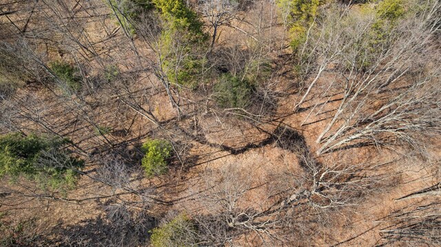 0 Benzie Hwy, Benzonia, MI 49616 - photo 11