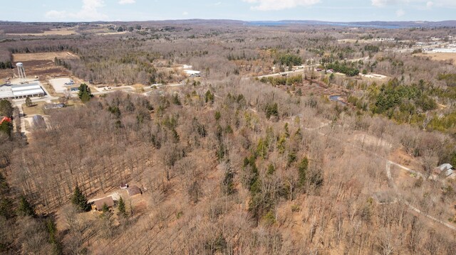 0 Benzie Hwy, Benzonia, MI 49616 - photo 12