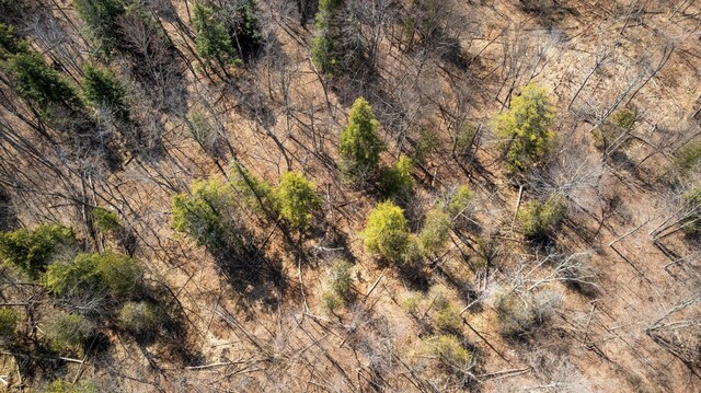 0 Benzie Hwy, Benzonia, MI 49616 - photo 13
