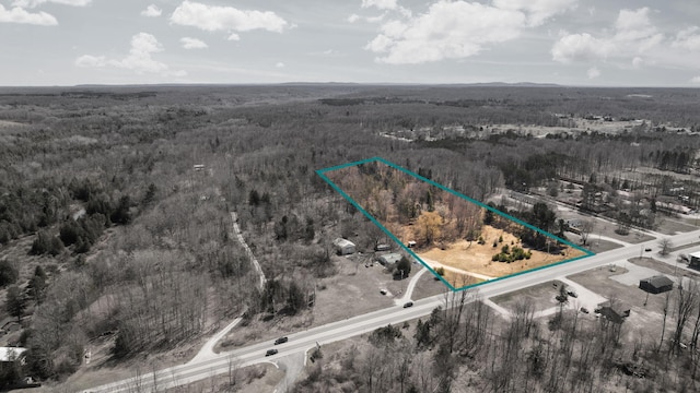 0 Benzie Hwy, Benzonia, MI 49616 - photo 3