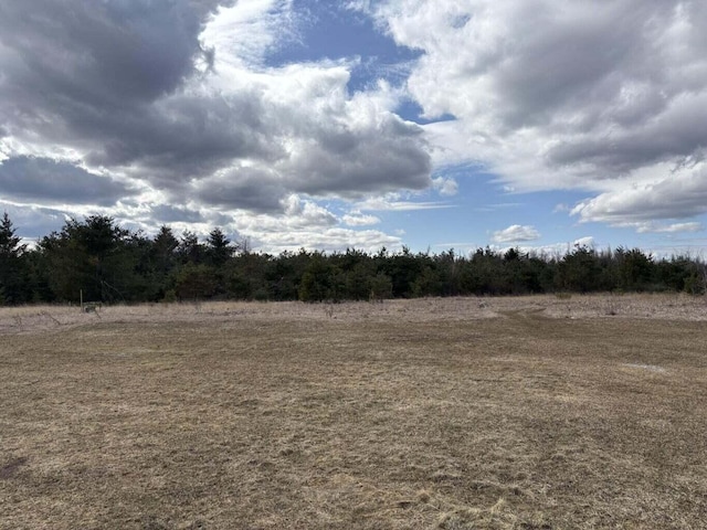 view of local wilderness featuring a rural view