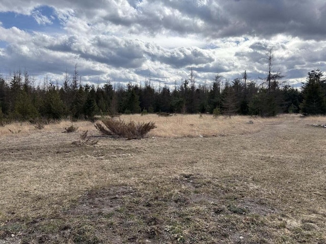 view of nature with a forest view