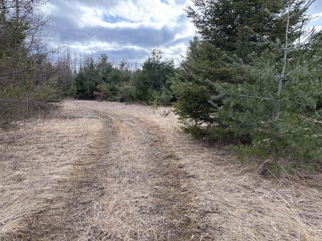 view of road with a wooded view