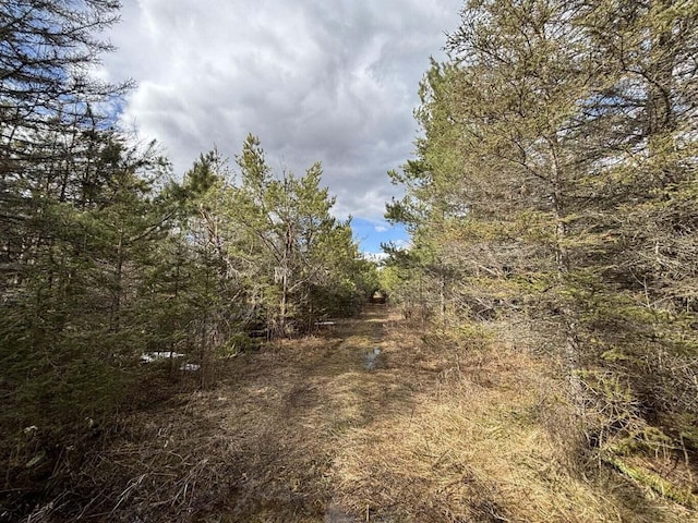 view of landscape featuring a wooded view