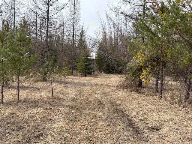 view of nature