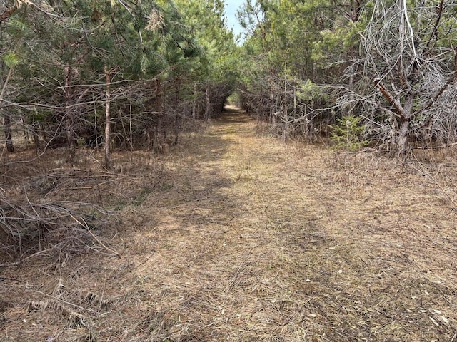 view of landscape