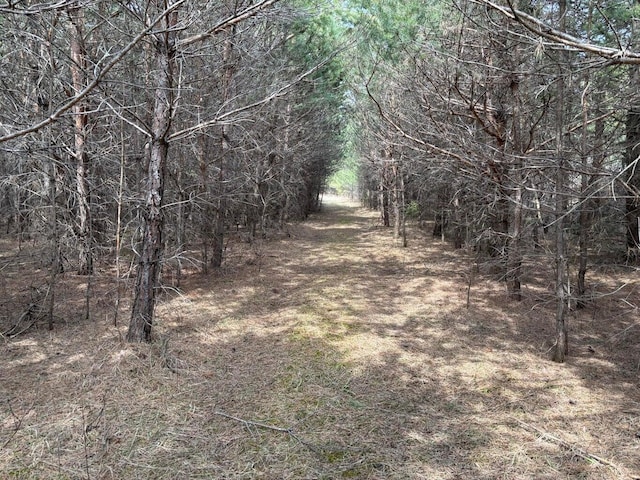 view of nature with a forest view