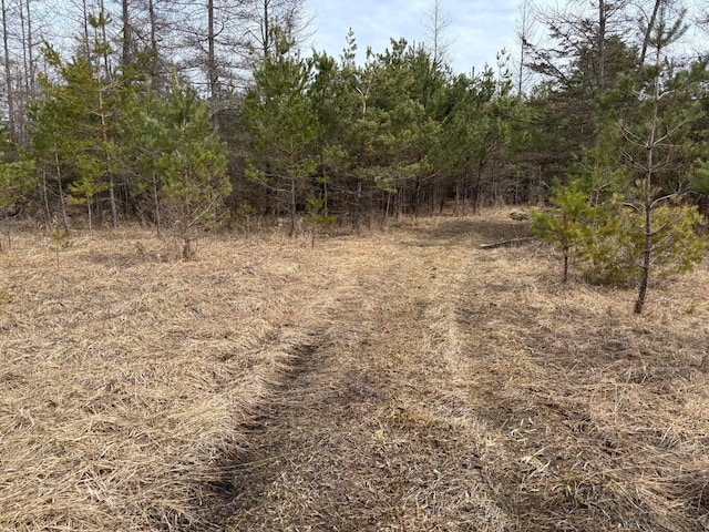 view of nature with a forest view