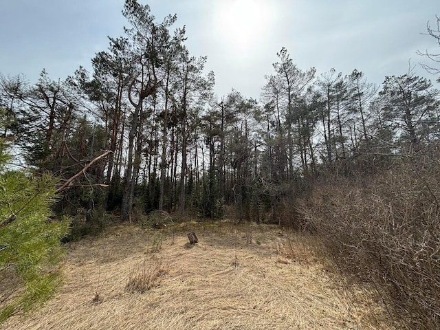 view of local wilderness with a wooded view