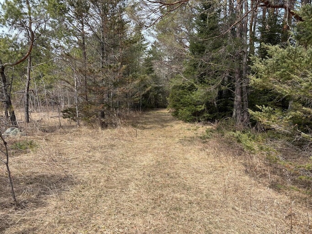 view of nature with a wooded view