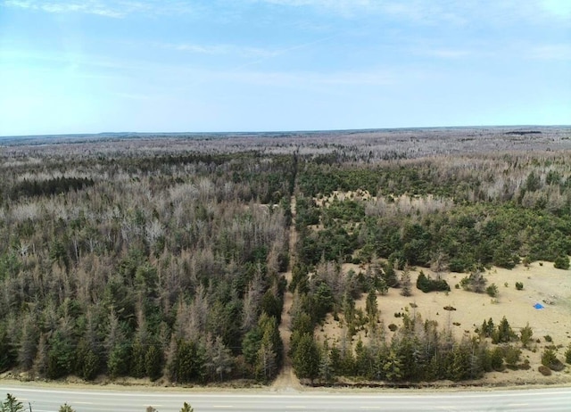 birds eye view of property with a forest view