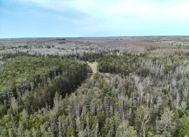view of nature with a wooded view