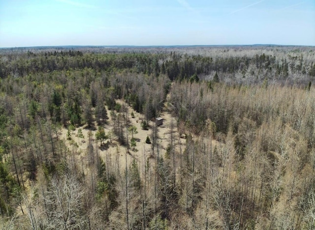 aerial view featuring a forest view