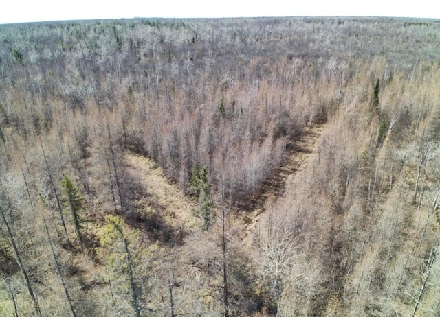 bird's eye view featuring a wooded view