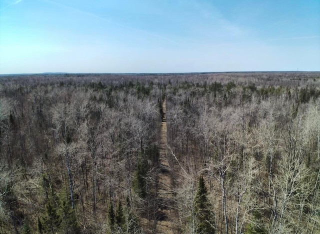 aerial view featuring a forest view
