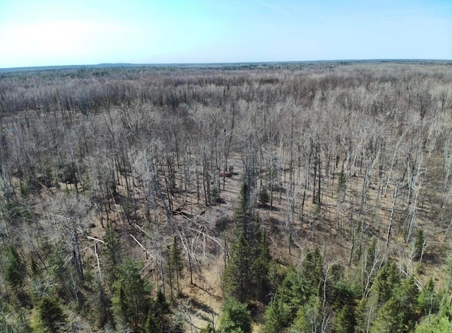 drone / aerial view featuring a view of trees