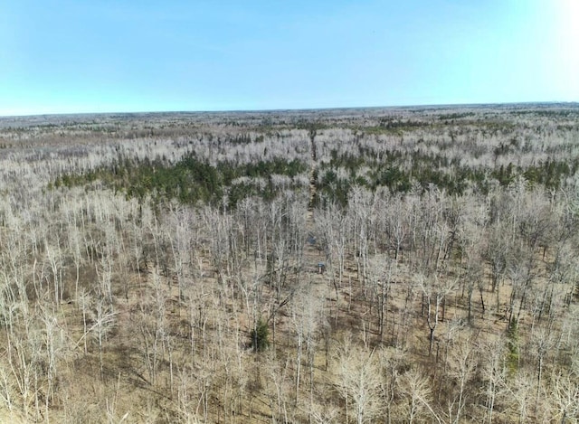 view of local wilderness
