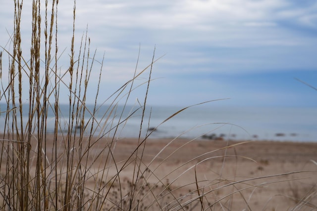 1220 N Lake Huron Shore Dr, Harrisville, MI 48740 - exterior space