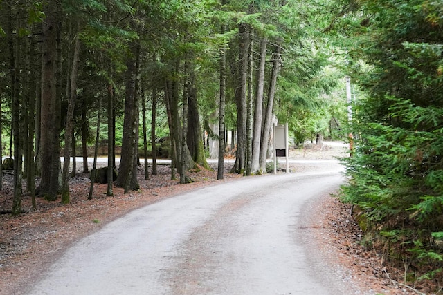 1220 N Lake Huron Shore Dr, Harrisville, MI 48740 - view of street featuring driveway and a wooded view
