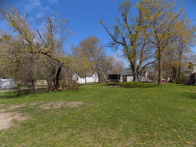 317 Pine Hill Ave, Cheboygan, MI 49721 - view of green lawn