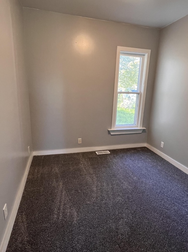 317 Pine Hill Ave, Cheboygan, MI 49721 - carpeted spare room with baseboards