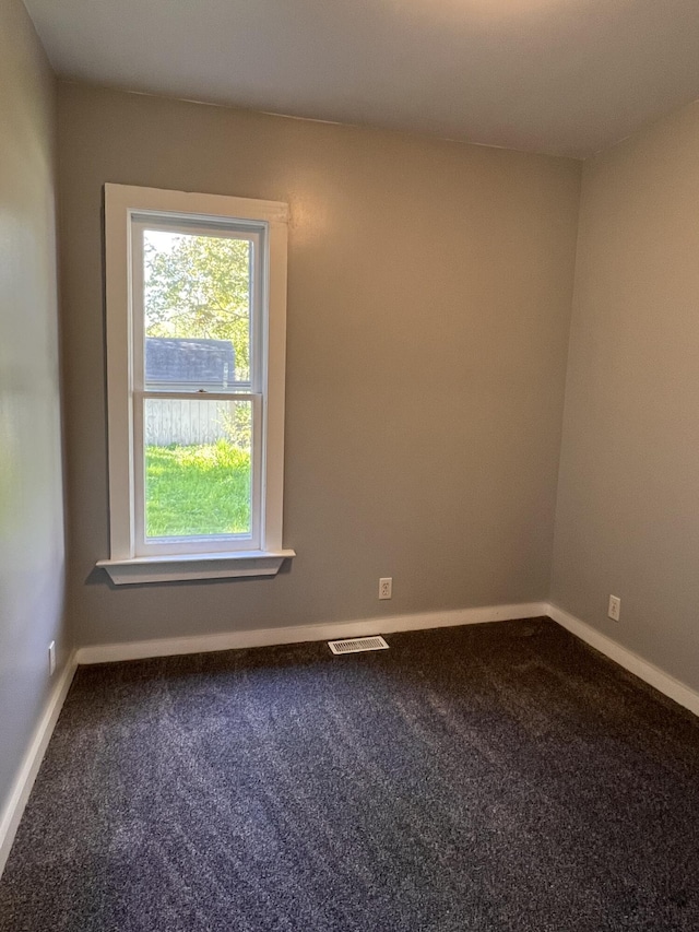 317 Pine Hill Ave, Cheboygan, MI 49721 - carpeted spare room featuring baseboards