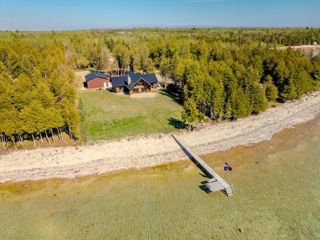 3968 Stony Pointe Rd, Hessel, MI 49745 - view of subject property featuring a heavily wooded area