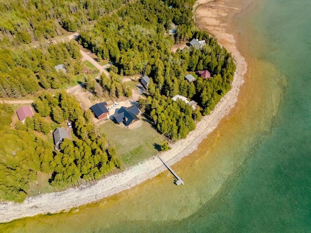 3968 Stony Pointe Rd, Hessel, MI 49745 - aerial overview of property's location featuring a heavily wooded area