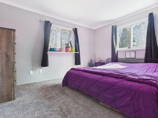 carpeted bedroom with multiple windows and crown molding