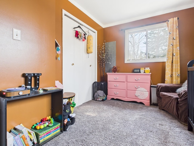 rec room with ornamental molding and carpet flooring