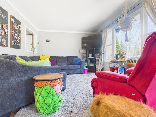 living area featuring crown molding