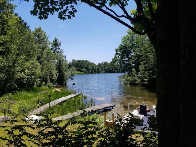 property view of water with a boat dock and a forest view