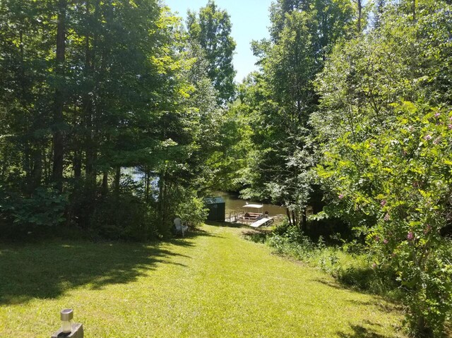 view of yard with a view of trees