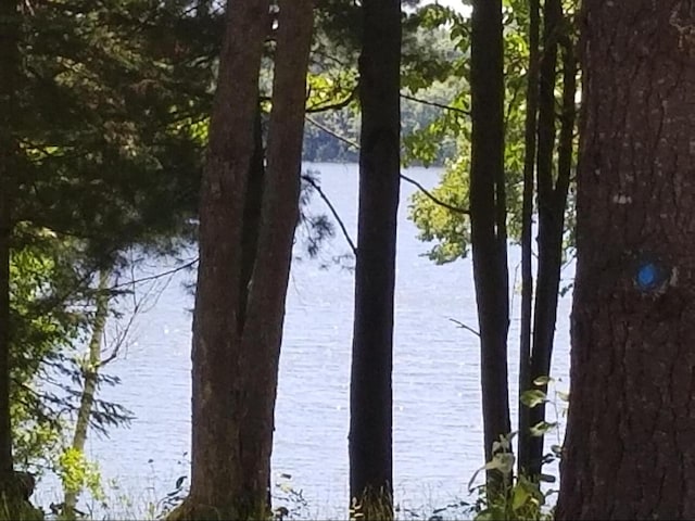 view of water feature