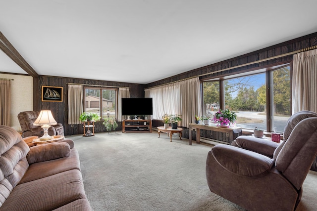 198 W Spruce St, Saint Ignace, MI 49781 - carpeted living area featuring wooden walls