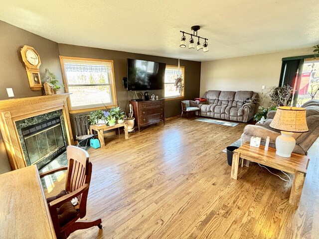 living room with rail lighting, wood finished floors, and a fireplace