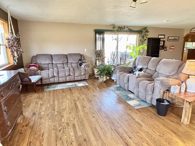 living room featuring wood finished floors and a textured ceiling