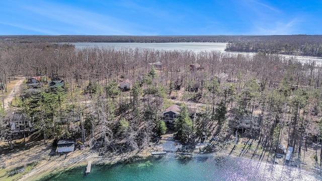 aerial view with a view of trees and a water view